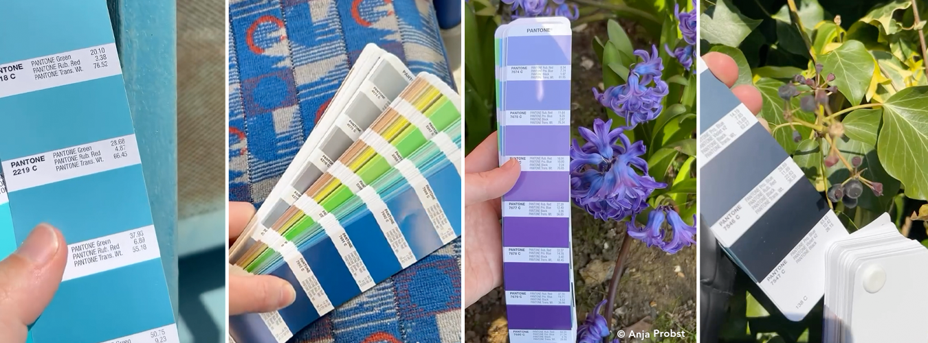 Colour Walks: het beste moodboard dat u nog niet gebruikt