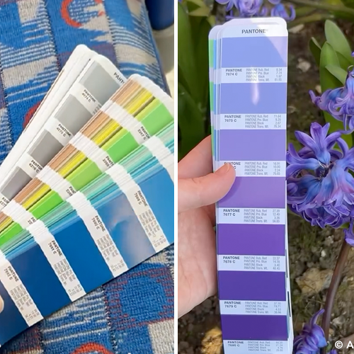 Colour Walks: het beste moodboard dat u nog niet gebruikt