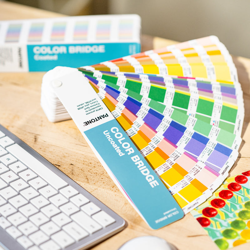 PANTONE Color Bridge Guide Set gestreken en ongestreken