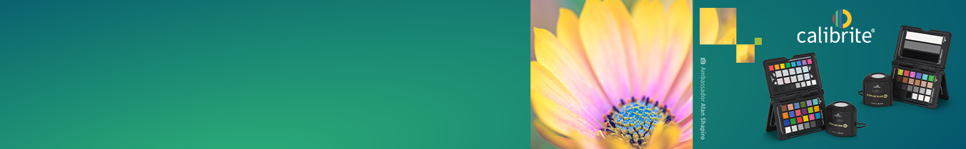 Een groene banner met lentebloemen en het Calibrite-logo, met twee Calibrite-kits.