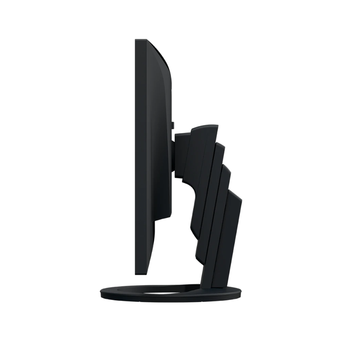 EIZO FlexScan EV2485-BK 24 inch Full HD Monitor - Zwart