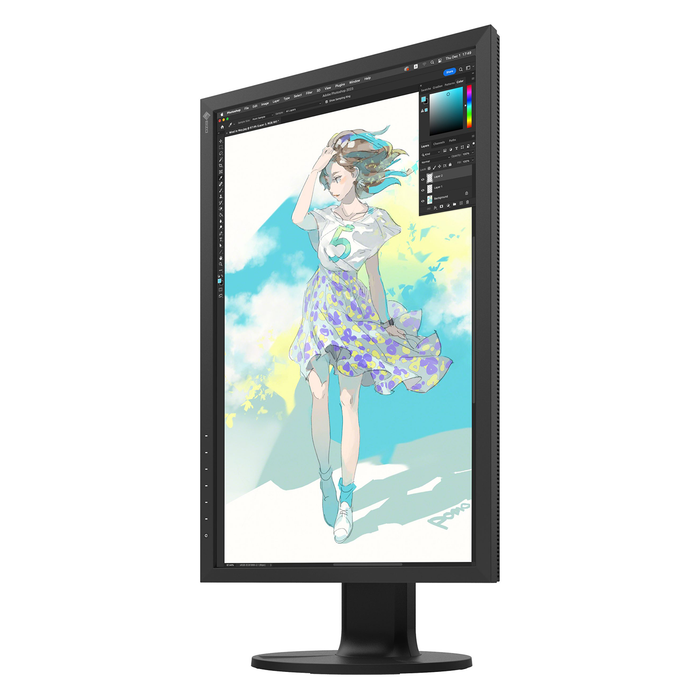 Eizo ColorEdge CS2400R 24-inch Monitor