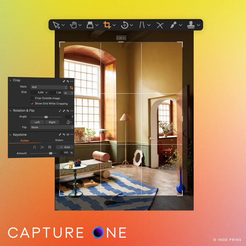 Capture One Pro (ESD)
