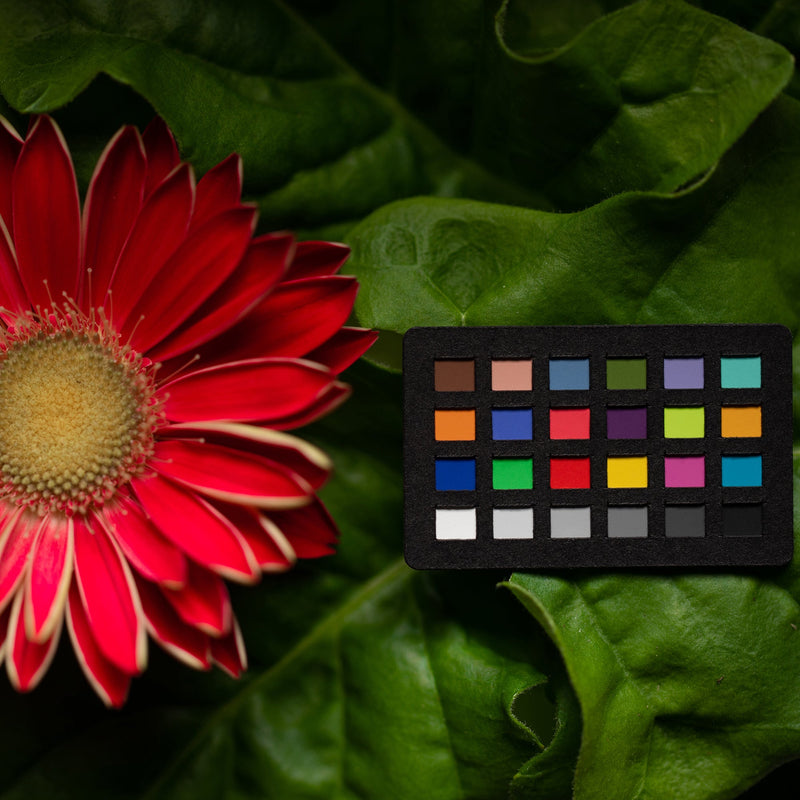 Een afbeelding waarop de Calibrite ColorChecker Classic Nano wordt gebruikt in macrofotografie naast een bloem. Het doelwit kan door fotografen worden gebruikt als referentie om te voorspellen en te controleren hoe kleur eruit zal zien onder verschillende lichtomstandigheden, en om een nauwkeurige kleurweergave tijdens het bewerken te waarborgen. Het toont 24 vierkanten, elk met een kleurreferentie.
